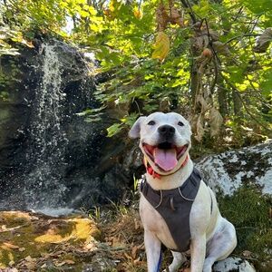 Meet your Posher, Aly